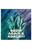 Axe Erkek Sprey Deodorant Apollo 48 Saat Etkileyici Koku 150 ml x3 - 4