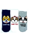 3 Çift Sevimli Köpek Temalı Baskılı Yumuşak Kadın Bilek Çorap thumbnail 1