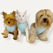 Minty Flower Power  Atlet by Kemique Köpek Kıyafeti Köpek Elbise - 1