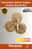 Premium Özel Dikime Hazır Yerli Üretim Safranbolu Safran Bitkisi Soğanı Büyük Boy 1. Kalite -40 Adet - 1