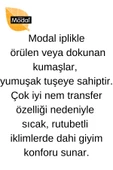 Berrak Erkek Modal Sıfır Yaka Kısa Kol Badi Tişört 1038 - 3