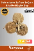 Premium Özel Dikime Hazır Yerli Üretim Safranbolu Safran Bitkisi Soğanı Büyük Boy 1. Kalite - 2 Adet - 1