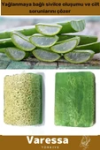 Premium Seri %100 Organik Bitkisel Cilt Orijinal Nemlendirici Kabak Lifi Vegan 3'lü Aloe Vera Sabunu - 2