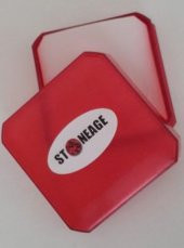 STONEAGE Gerçek Çiçek El Yapımı Bayan Yaşayan Kolye thumbnail 9