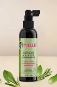 Mielle Rosemary Mint Kuru Şampuan Saç Derisi ve Saç Kenarı Temizleyici Yağ 118ML - 4