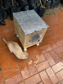 Kedi Kulübesi Kedi Yuvası Kedi Evi 30x33x36cm Iç Ve Dış Mekan Su Geçirmez Isı Yalıtımlı Özel Tasarım - 5