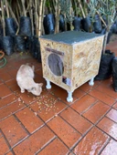 Kedi Kulübesi Kedi Yuvası Kedi Evi 30x33x36cm Iç Ve Dış Mekan Su Geçirmez Isı Yalıtımlı Özel Tasarım - 1