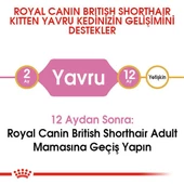Royal Canın British Shorthair Yavru Kedi Maması 2kg - 4
