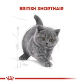 Royal Canın British Shorthair Yavru Kedi Maması 2kg - 2
