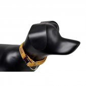 Dubex G-Dog Köpek Boyun Tasması Sarı XS-S - 1