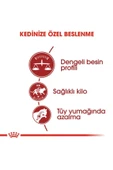 Royal Canin Fit 32 Yetişkin Kedi Maması 2kg - 5