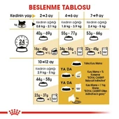 Royal Canin Persian Irka Özel Yavru Kedi Maması 2 Kg - 5