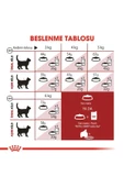 Royal Canin Fit 32 Yetişkin Kedi Maması 2kg - 6