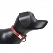 Dubex G-Dog Köpek Boyun Tasması Şeker Pembe S-M - 1