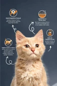 Reflex Kıtten Chıcken & Rıce Cat Food 10 Kg - 4