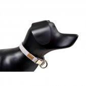 Dubex G-Dog Köpek Boyun Tasması Açık Gri L-XL - 1