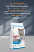 Reflex Somonlu & Hamsili Yetişkin Kedi Maması 2 Kg - 3