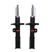 Chevrolet Captiva Ön Sağ ve Sol Amortisör Takım BSG - 1