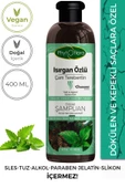 Tuzsuz Yağlı Ve Kepekli Saçlara Özel Isırgan Özlü Bitkisel Şampuan 400ml - 1