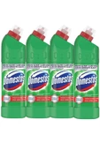 Naturel Ev Yaşam Domestos Çamaşır Suyu 750 Ml Dağ Esintisi (750 Ml X 4 Adet) - 1