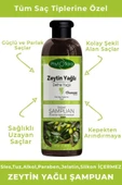 Tuzsuz Tüm Saç Tiplerine Özel Zeytinyağlı Bitkisel Şampuan 400 Ml - 2