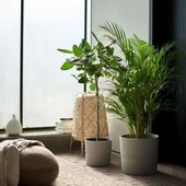 SUMUHOME NYPON DEKORATİF PLASTİK SAKSI GRİ 24 CM - 5