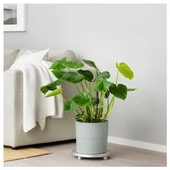 SUMUHOME NYPON DEKORATİF PLASTİK SAKSI GRİ 24 CM - 3