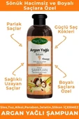 Tuzsuz Hassas Sönük Hacimsiz Ve Boyalı Saçlara Özel Argan Yağlı Bitkisel Şampuan 400 ml - 2