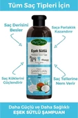 Phytoflora Kepek Karşıtı Tuzsuz Eşek Sütü Ve Hindistan Cevizi Yağlı Bitkisel Şampuan 400 Ml - 2