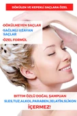 Tuzsuz Dökülen Ve Kepekli Saçlara Özel Bıttım Özlü Bitkisel Şampuan 400 ml - 2