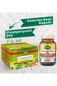 Mindivan Civan Perçemli Çay Ve Valerian Root Kapsül - 1