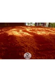 Gediz Tarhanası 1000 Gr Gediz Tarhanası (tatlı) - 3