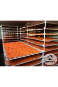 Gediz Tarhanası 1000 Gr Gediz Tarhanası (tatlı) - 5