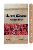 Yedi Kardeş Kanı 100 G - 1