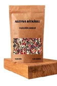 Karabiber Tane 4 Renkli 250 gr - 1