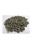 Bamya Tohumu 100 Gr - 1