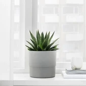 SUMUHOME NYPON DEKORATİF PLASTİK SAKSI GRİ 15 CM - 3