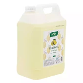 Dr Lory Limon Kolonyası 5 Lt - 1