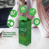 NOUUPLUS TUSSIPAS - 2