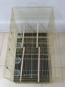 Netx Çifthane Kafes 77X46X46 Pirinç Kaplama Pirinç Renk - 1