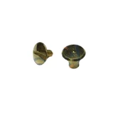 Cilt Menü, Katalog, Kartela Vidası, 6 mm - Sarı, 1 Adet - 1