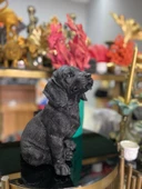 Dekorarif köpek Heykeli Biblo - 2