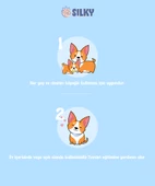 Silky - Kedi Uzaklaştırma ve Tuvalet Eğitim Desteği Spreyi -  500ml - 3