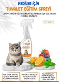Silky - Kedi Uzaklaştırma ve Tuvalet Eğitim Desteği Spreyi -  500ml - 5