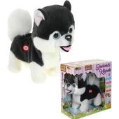 CAN TOYS KÖPEK HAREKETLİ SESLİ PİLLİ KUTULU - 2