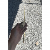 Bambu Destek Çubuğu 90 cm x 6-8 mm 50 adet thumbnail 4