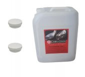 5lt Far Temizleme Spreyi 2 Adet Krem - 1