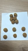 PETEKO YETİŞKİN KURU MAMASI TAVUKLU 15 KG - 2