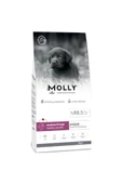 Molly Kuzulu Yabanmersinli Orta ve Büyük Irk Yavru Köpek Maması 2 kg - 1