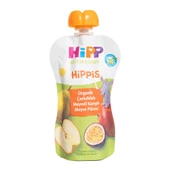 Nessiworld Hipp Organik Çarkıfelek Meyveli Karışık Meyve Püresi 100 Gr - 2